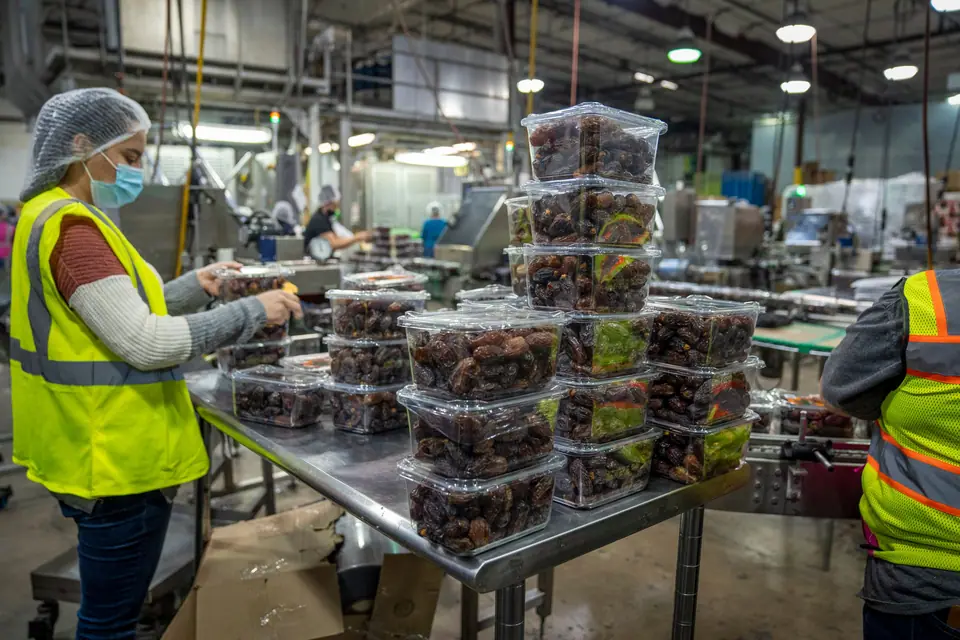 Packing-house workers in hairnets and safety vests packing produce
