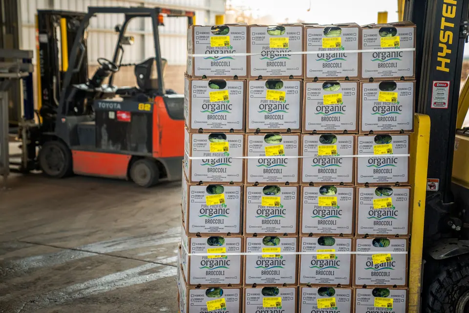 A forklift beside tall stacks of produce cartons in a warehouse